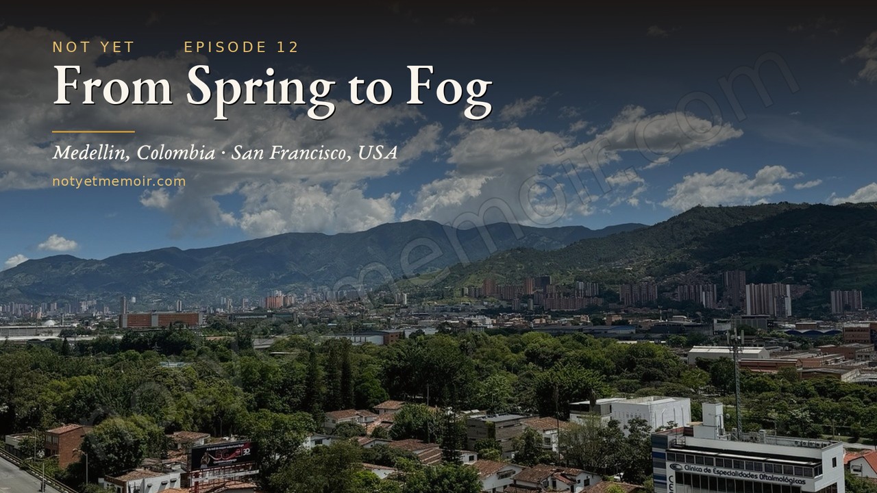 From Spring to Fog