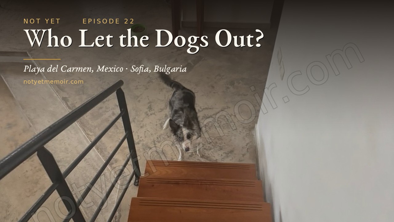 Who Let the Dogs Out?