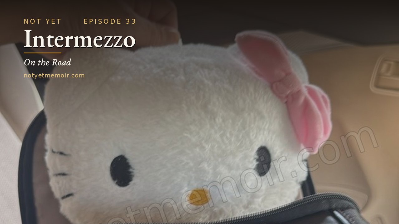 Intermezzo: El Vagabundo, Kitty & Grok