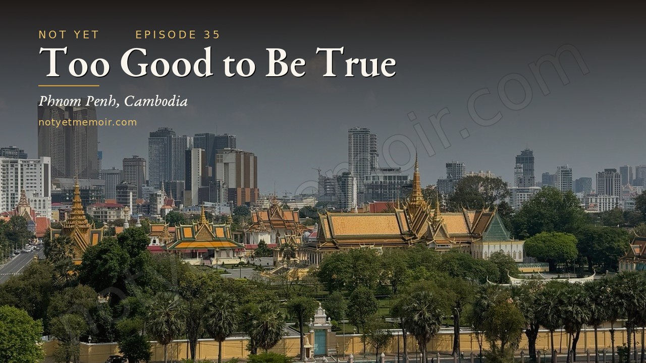 Too Good to Be True